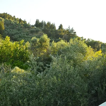 Paradise 3*