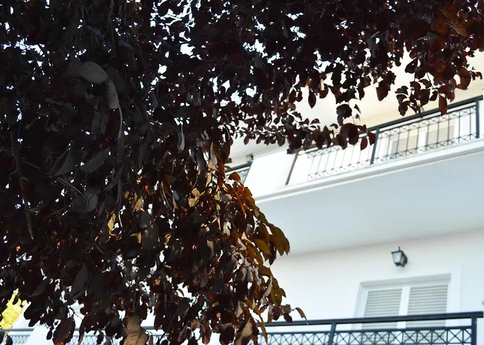 Paradise Hotel apartamentowy Argassi