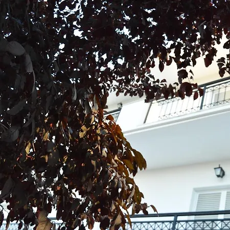 Paradise Aparthotel Argassi