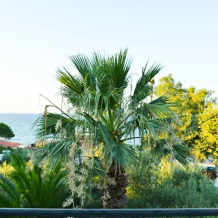 Paradise Aparthotel